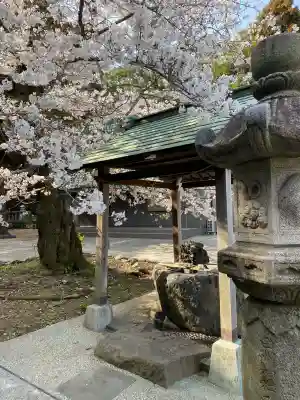諏訪大神社(神奈川県)