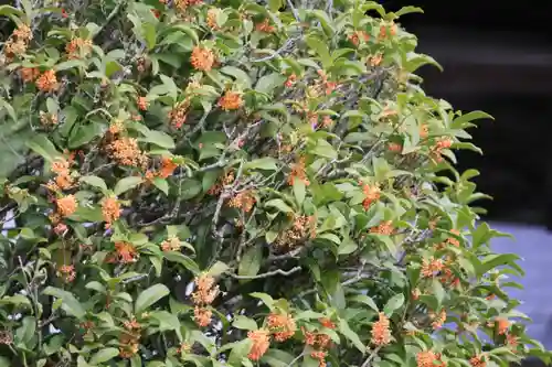 大鏑神社の庭園