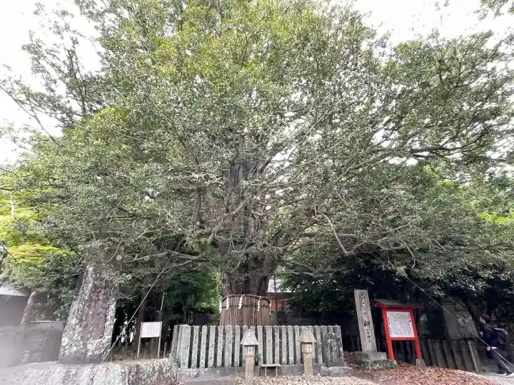 熊野速玉大社の{uncategorized: "未分類", other: "その他", undefined: "問題あり", building: "その他建物", grave: "お墓", sacred_gate: "鳥居", guardian: "狛犬", statue: "像", buddha: "仏像", history: "歴史", nature: "自然", garden: "庭園", animal: "動物", pagoda: "塔", temizu: "手水舎", mountain_gate: "山門・神門", sanctuary: "本殿・本堂", subordinate: "末社・摂社", art: "芸術", scenery: "景色", jizo: "地蔵", ema: "絵馬", goshuin: "御朱印", omikuji: "おみくじ", items: "授与品その他", amulet: "お守り", goshuincho: "御朱印帳", eats: "食事", festival: "お祭り", votive_dance: "神楽", shichigosan: "七五三参", wedding: "結婚式", experience: "体験その他", initially: "初詣", around: "周辺", anti_infection: "感染症対策"}