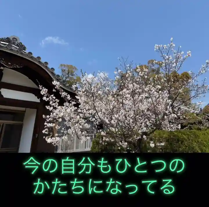 一乗院(和歌山県)