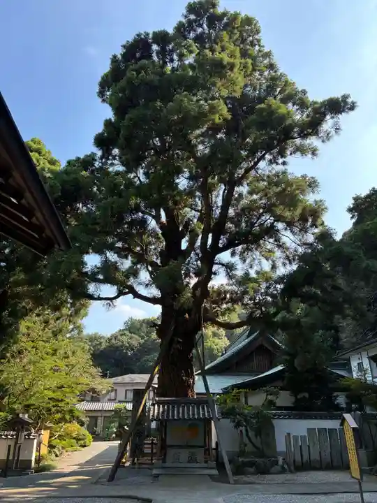 極楽寺(徳島県)