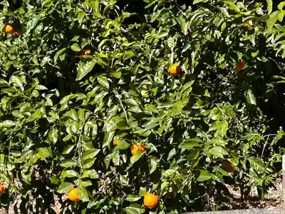 久能山東照宮(静岡県)