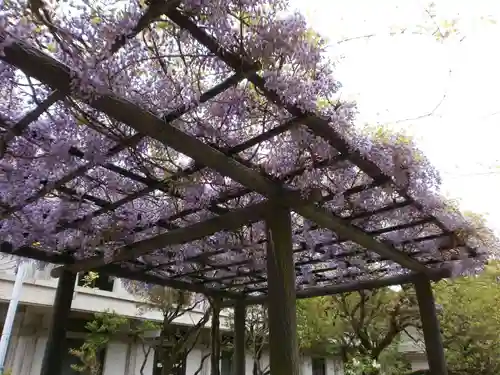 太宰府天満宮の庭園