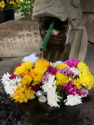 大宝八幡宮の手水舎