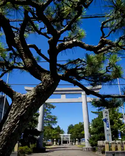 福井県護国神社(福井県)