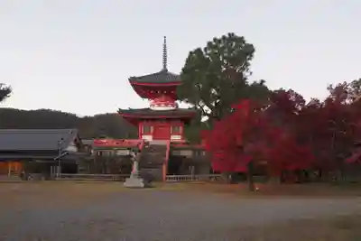大覚寺のその他建物
