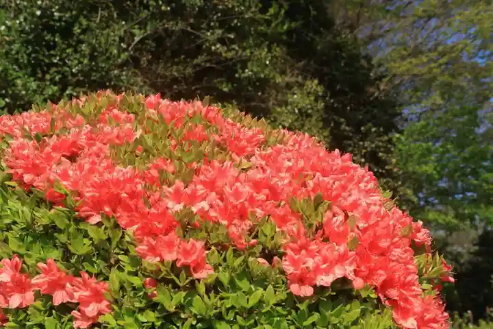 長屋神社の庭園