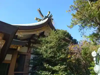 北新羽杉山神社の本殿・本堂