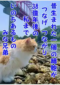 西教寺(下松駅徒歩5分)(山口県)(2022年06月16日(木) 13時33分44秒投稿)