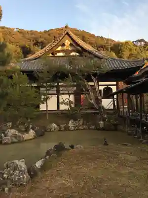 高台寺（高台寿聖禅寺・高臺寺）(京都府)