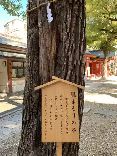 御霊神社の自然