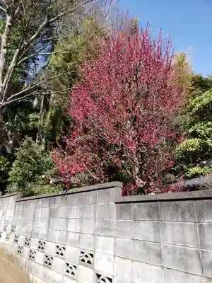 胡録神社のその他建物