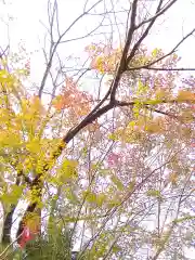 石内のお大師さん　金剛院(広島県)