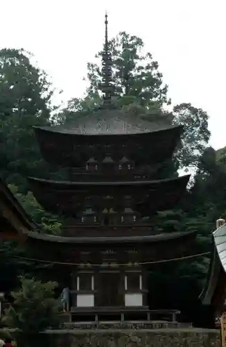 西明寺のその他建物