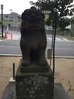 葛飾八幡宮の狛犬