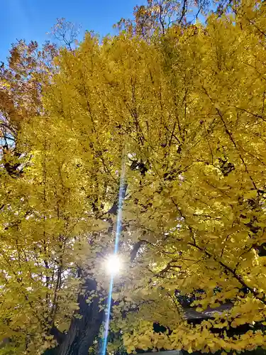阿邪訶根神社(福島県)