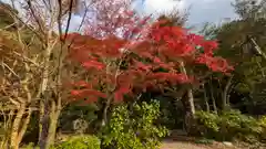 長楽寺(京都府)