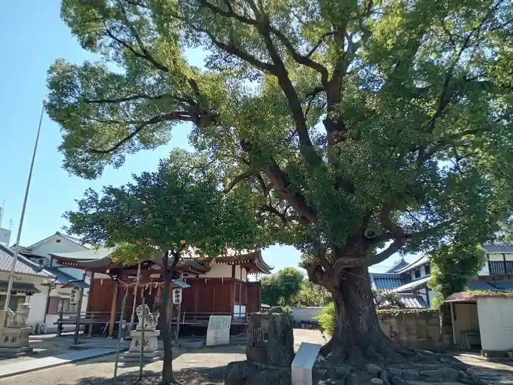 深江稲荷神社(大阪府)