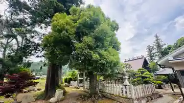 大坪八幡宮(京都府)