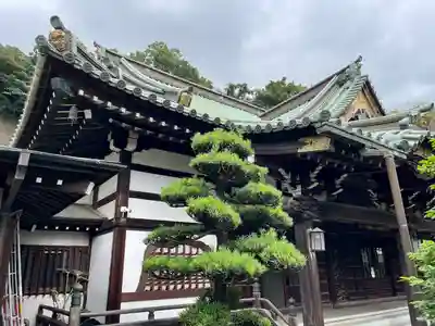 常照寺(神奈川県)