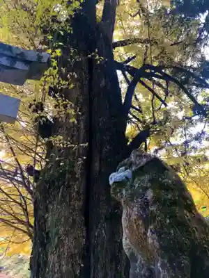丹生神社の狛犬