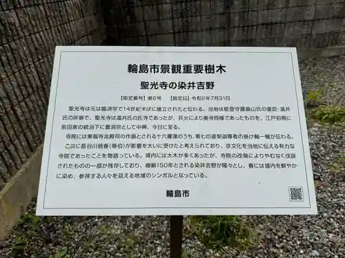 聖光寺(石川県)