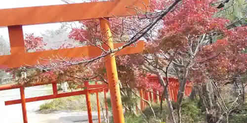 隅田八幡神社の鳥居