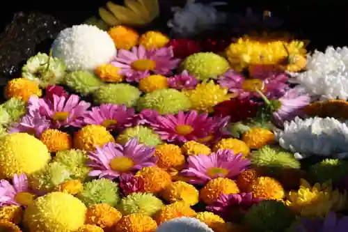 大鏑神社の手水舎