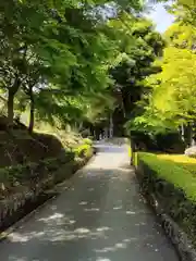 高蔵寺の庭園