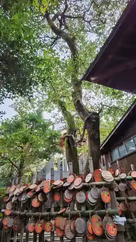 雲仙温泉神社の自然