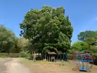 安楽院(千葉県)