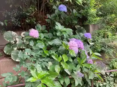 松嶺院(神奈川県)