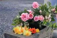 熊野福藏神社の手水舎