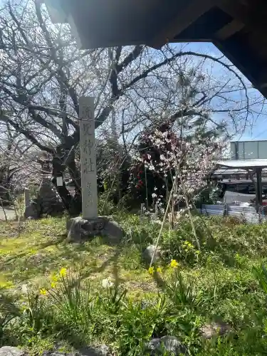 酒見神社の{uncategorized: "未分類", other: "その他", undefined: "問題あり", building: "その他建物", grave: "お墓", sacred_gate: "鳥居", guardian: "狛犬", statue: "像", buddha: "仏像", history: "歴史", nature: "自然", garden: "庭園", animal: "動物", pagoda: "塔", temizu: "手水舎", mountain_gate: "山門・神門", sanctuary: "本殿・本堂", subordinate: "末社・摂社", art: "芸術", scenery: "景色", jizo: "地蔵", ema: "絵馬", goshuin: "御朱印", omikuji: "おみくじ", items: "授与品その他", amulet: "お守り", goshuincho: "御朱印帳", eats: "食事", festival: "お祭り", votive_dance: "神楽", shichigosan: "七五三参", wedding: "結婚式", experience: "体験その他", initially: "初詣", around: "周辺", anti_infection: "感染症対策"}