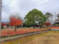 梁川八幡社(越津町)の自然