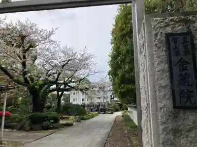 金藏院の{uncategorized: "未分類", other: "その他", undefined: "問題あり", building: "その他建物", grave: "お墓", sacred_gate: "鳥居", guardian: "狛犬", statue: "像", buddha: "仏像", history: "歴史", nature: "自然", garden: "庭園", animal: "動物", pagoda: "塔", temizu: "手水舎", mountain_gate: "山門・神門", sanctuary: "本殿・本堂", subordinate: "末社・摂社", art: "芸術", scenery: "景色", jizo: "地蔵", ema: "絵馬", goshuin: "御朱印", omikuji: "おみくじ", items: "授与品その他", amulet: "お守り", goshuincho: "御朱印帳", eats: "食事", festival: "お祭り", votive_dance: "神楽", shichigosan: "七五三参", wedding: "結婚式", experience: "体験その他", initially: "初詣", around: "周辺", anti_infection: "感染症対策"}