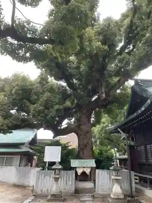 別宮大山祇神社(愛媛県)