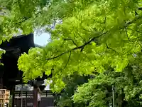 蚊里田八幡宮(長野県)