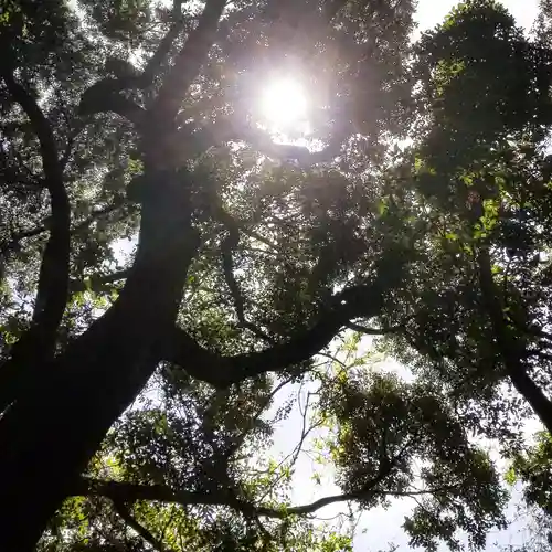 沼尾神社の自然
