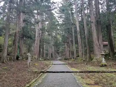 平泉寺白山神社の{uncategorized: "未分類", other: "その他", undefined: "問題あり", building: "その他建物", grave: "お墓", sacred_gate: "鳥居", guardian: "狛犬", statue: "像", buddha: "仏像", history: "歴史", nature: "自然", garden: "庭園", animal: "動物", pagoda: "塔", temizu: "手水舎", mountain_gate: "山門・神門", sanctuary: "本殿・本堂", subordinate: "末社・摂社", art: "芸術", scenery: "景色", jizo: "地蔵", ema: "絵馬", goshuin: "御朱印", omikuji: "おみくじ", items: "授与品その他", amulet: "お守り", goshuincho: "御朱印帳", eats: "食事", festival: "お祭り", votive_dance: "神楽", shichigosan: "七五三参", wedding: "結婚式", experience: "体験その他", initially: "初詣", around: "周辺", anti_infection: "感染症対策"}