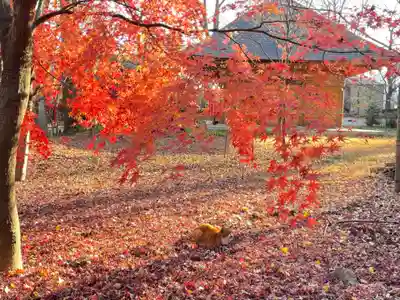 淨眞寺(東京都)