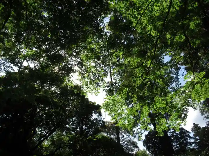 東蕗田天満社の自然