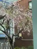 二宮神社の{uncategorized: "未分類", other: "その他", undefined: "問題あり", building: "その他建物", grave: "お墓", sacred_gate: "鳥居", guardian: "狛犬", statue: "像", buddha: "仏像", history: "歴史", nature: "自然", garden: "庭園", animal: "動物", pagoda: "塔", temizu: "手水舎", mountain_gate: "山門・神門", sanctuary: "本殿・本堂", subordinate: "末社・摂社", art: "芸術", scenery: "景色", jizo: "地蔵", ema: "絵馬", goshuin: "御朱印", omikuji: "おみくじ", items: "授与品その他", amulet: "お守り", goshuincho: "御朱印帳", eats: "食事", festival: "お祭り", votive_dance: "神楽", shichigosan: "七五三参", wedding: "結婚式", experience: "体験その他", initially: "初詣", around: "周辺", anti_infection: "感染症対策"}