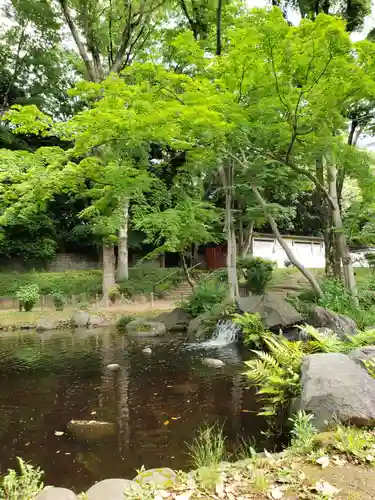 増上寺塔頭 三縁山 宝珠院の庭園