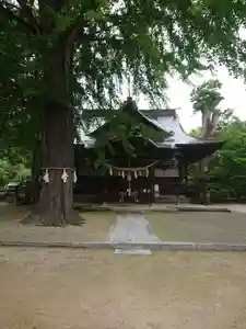 賀羅加波神社の本殿・本堂(2021年05月07日(金) 11時32分57秒投稿)