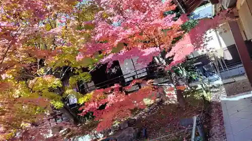 勝林寺(京都府)