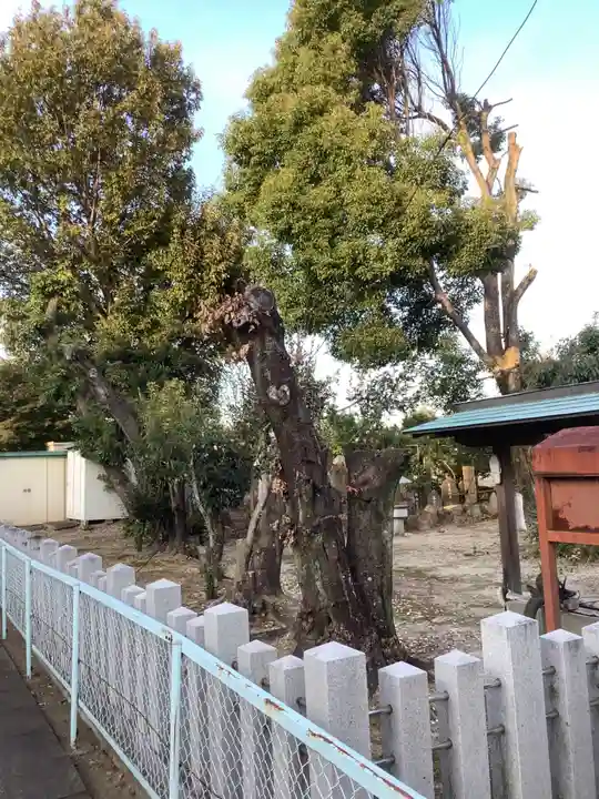 御嶽神社(林島町)の自然