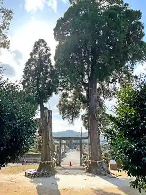 興玉神社(宮崎県)