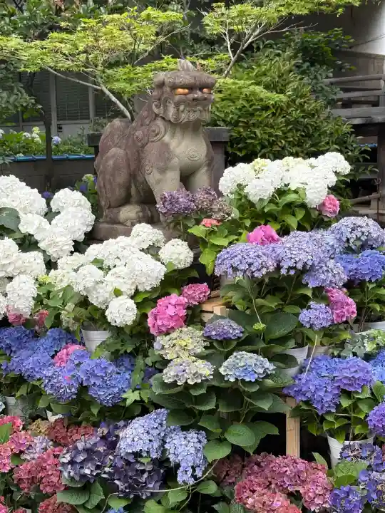 白山神社(東京都)