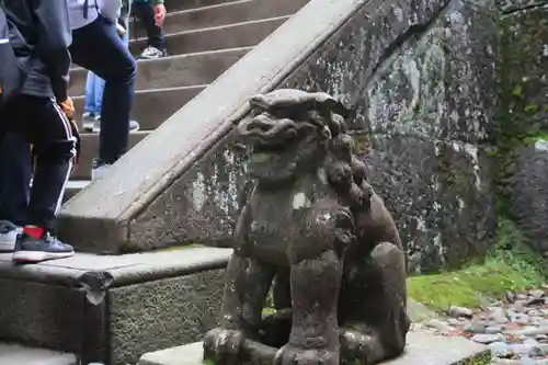 日光東照宮の狛犬